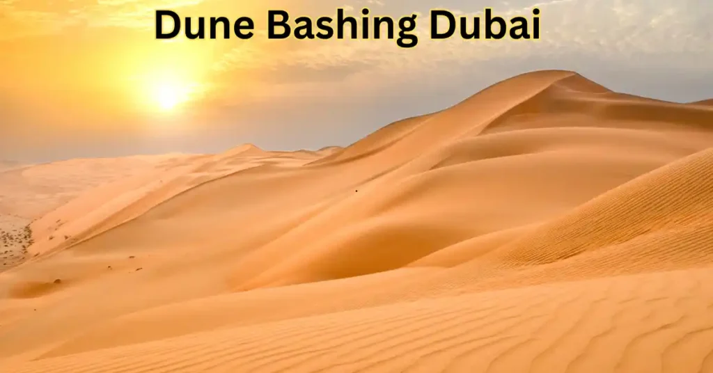 Evening Desert Safari Offer