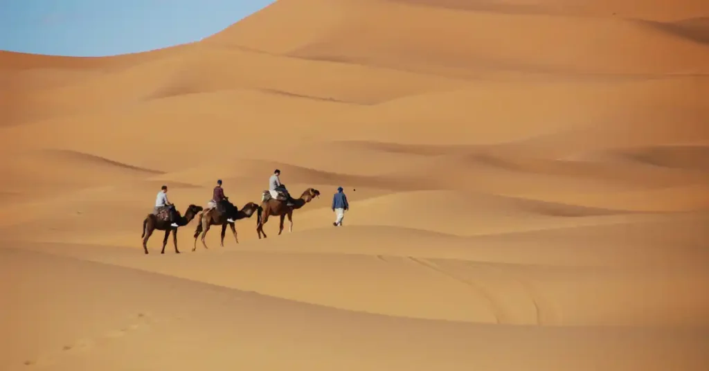 Evening Desert Safari Offer