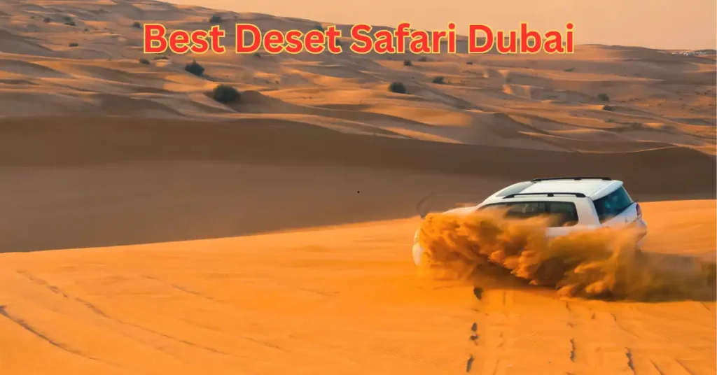 Best Desert Safari Dubai