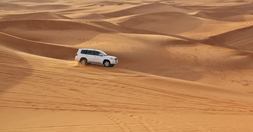 Best Desert Safari 2025