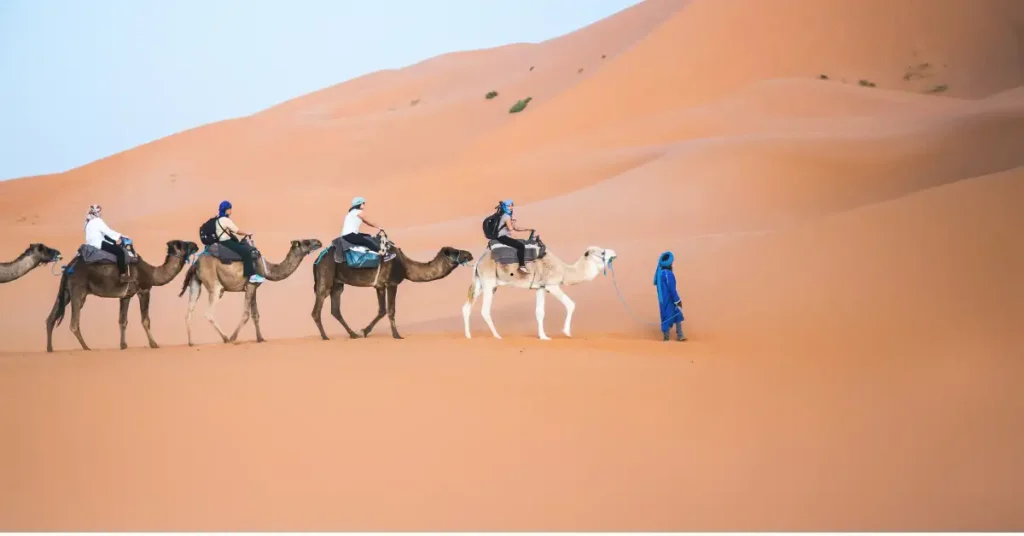 Best Camel ride Desert Safari 2025 