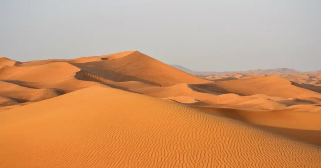 Dune Bashing Dubai