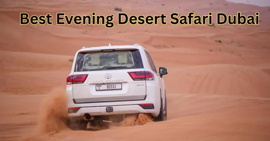 Best Evening desert safari