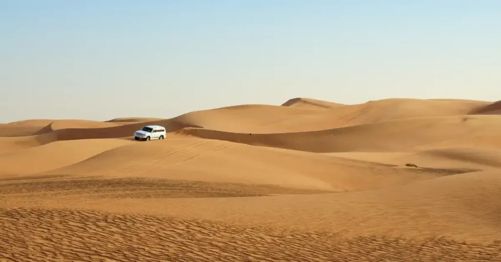 Best evening desert safari
