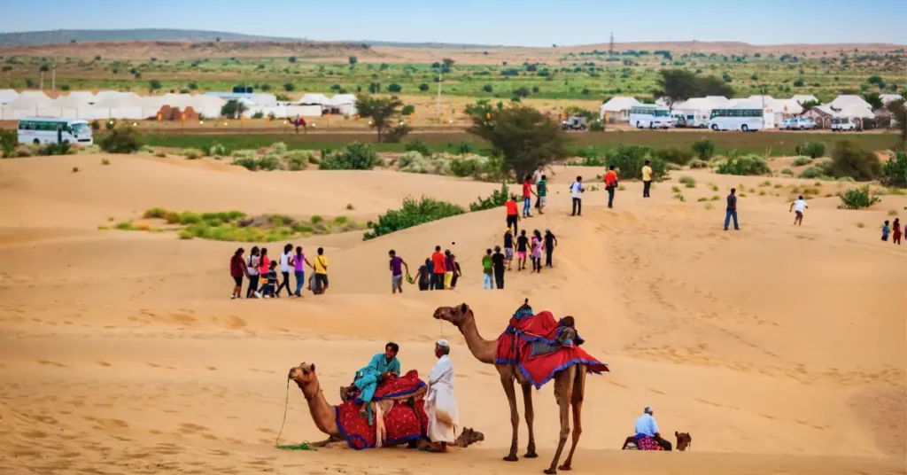 Camel ride desert safari