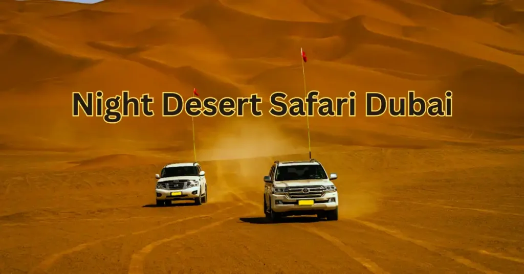Night Desert Safari In Dubai