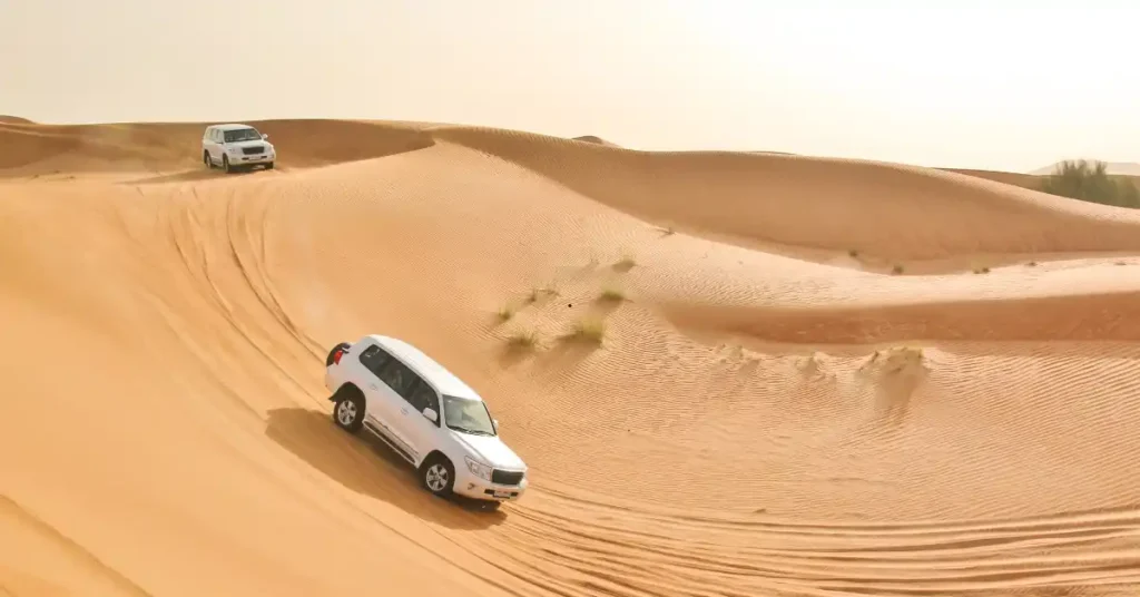 Dubai Desert Safari 