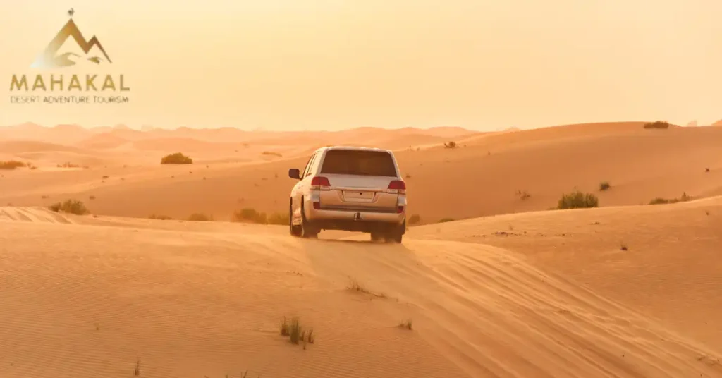 Standard Desert Safari vs Red Dune Desert Safari