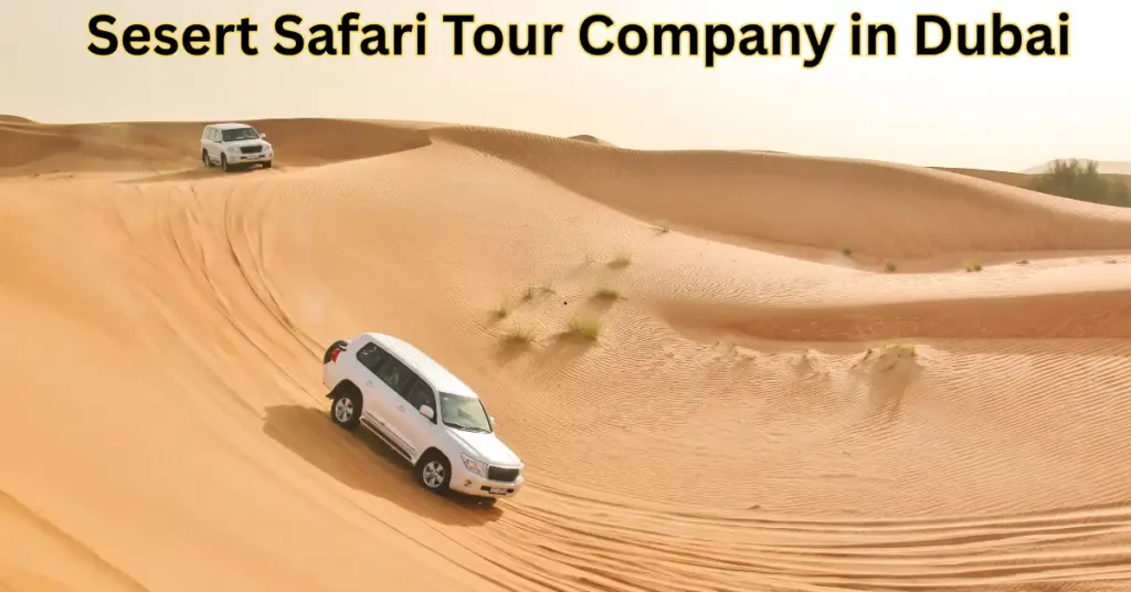 Desert Safari Tour Company Dubai