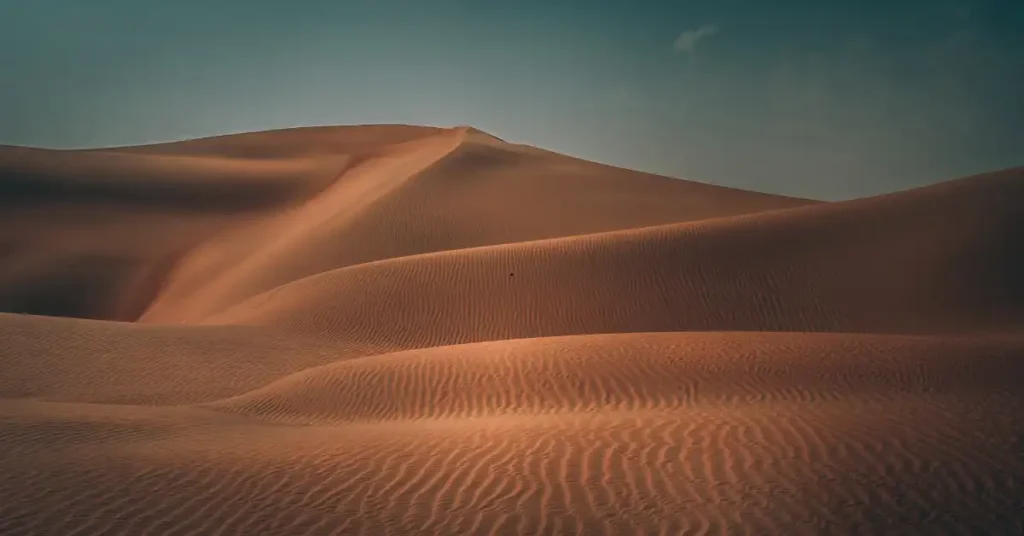Liwa Desert Safari From Dubai