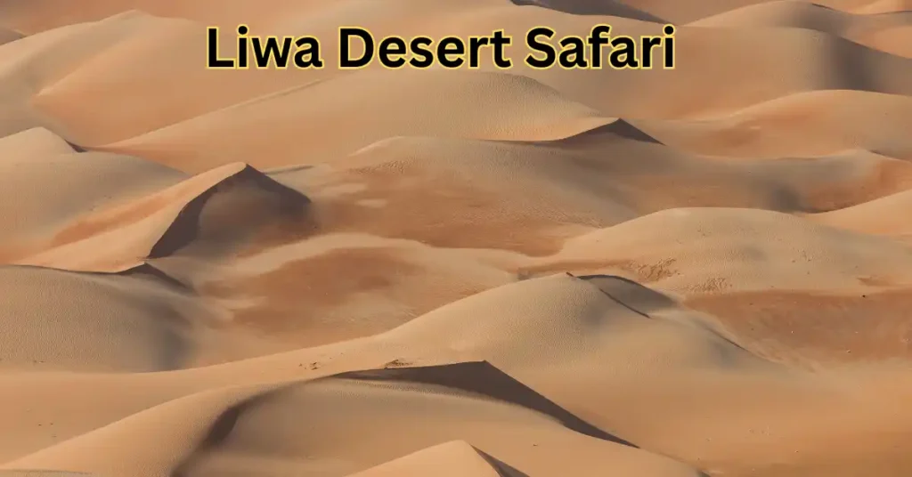 Liwa Desert Safari From Dubai