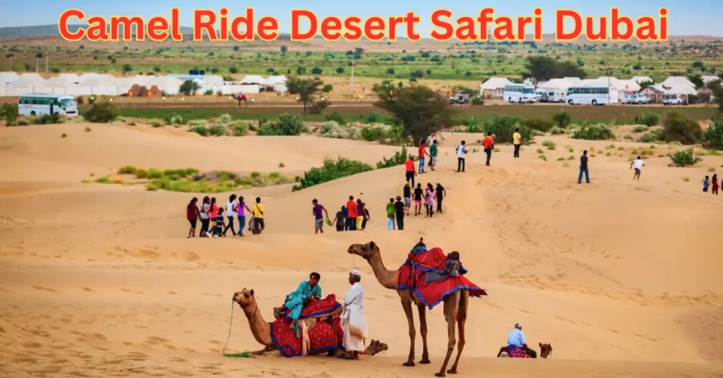 Camel Ride Desert Safari Dubai