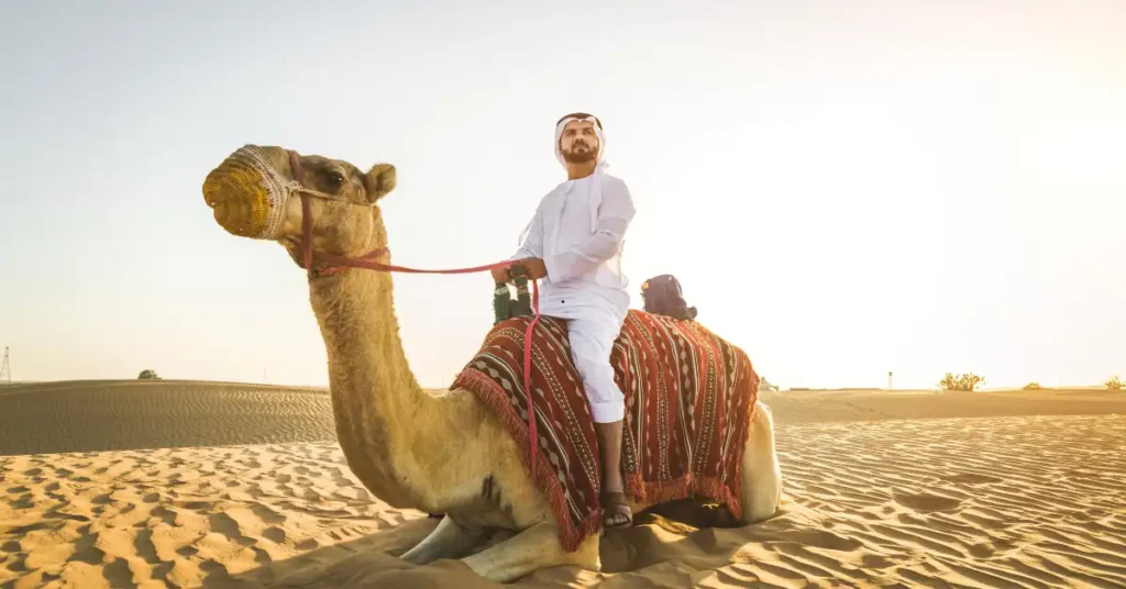 Camel Ride Desert Safari Dubai