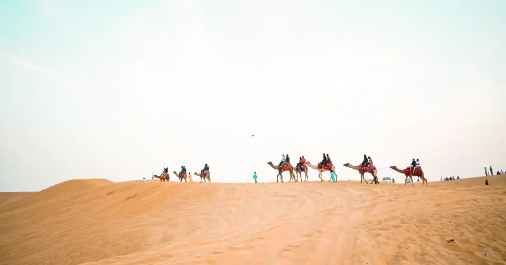 Camel Ride Desert Safari Dubai