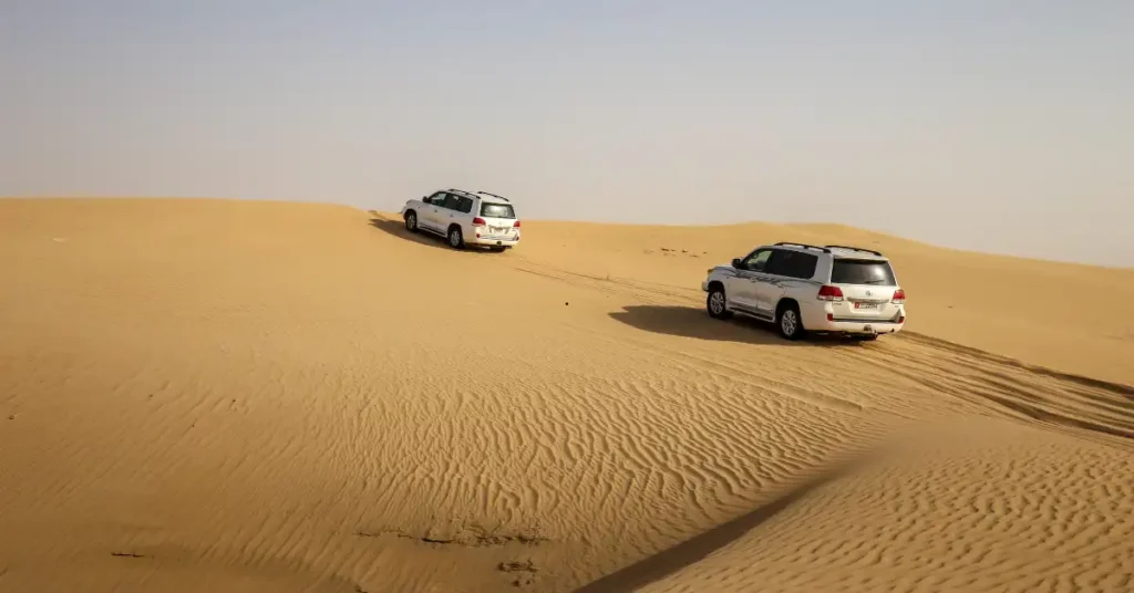 Liwa Desert Safari vs Dubai Desert Safari