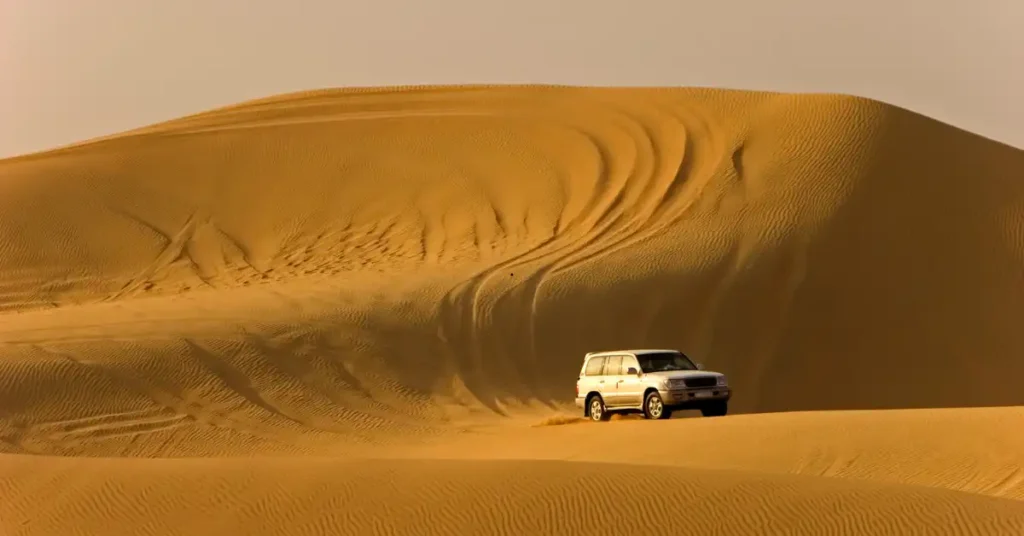 Morning Evening or Overnight desert Safari