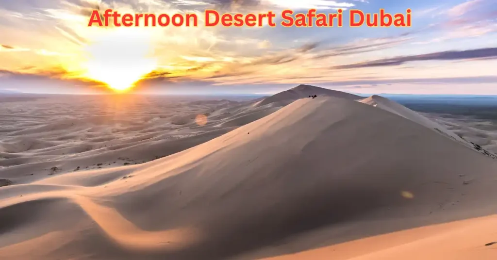 Afternoon Desert Safari Dubai